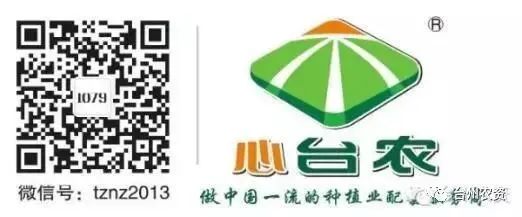 果實(shí)接近成熟，警惕柑橘表面各種油胞病